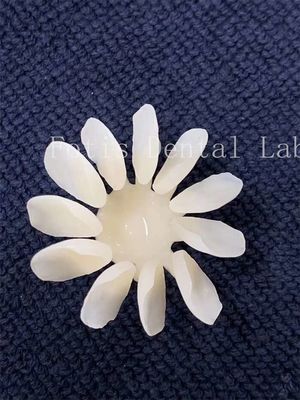 購入 汚れ に 耐える 歯科 ポルセラン 敷き布団 online manufacture